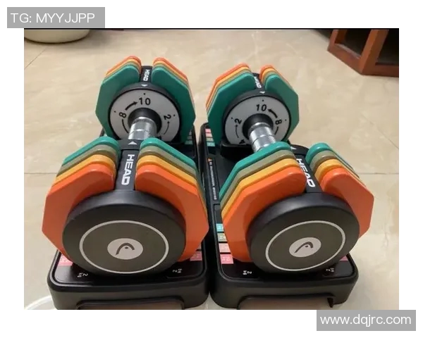 哑铃价格揭秘如何选择适合自己的哑铃以及购买时的注意事项